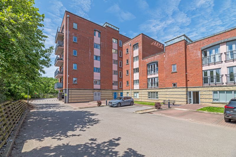 Main Image